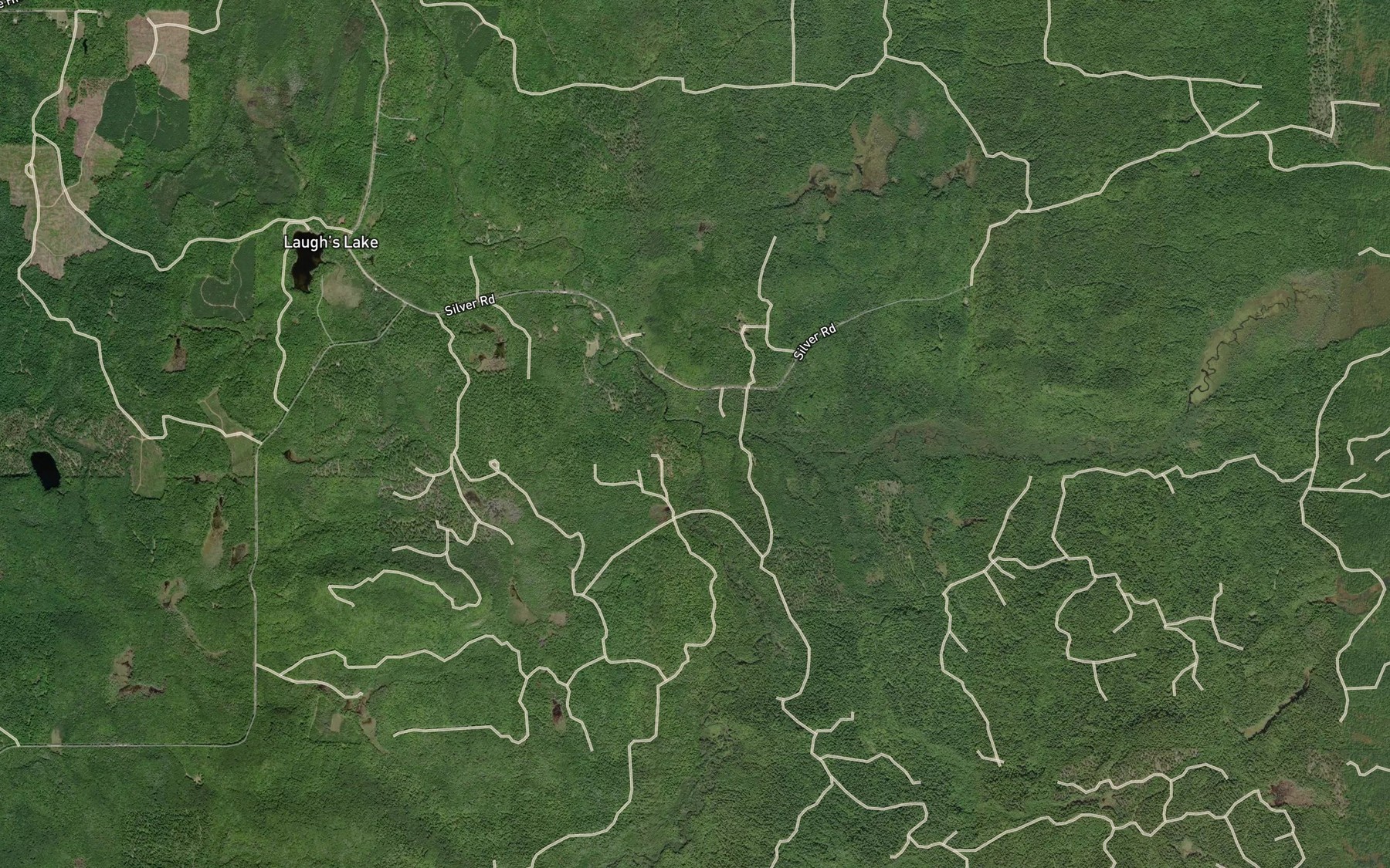 Satellite map of the East Branch Silver River