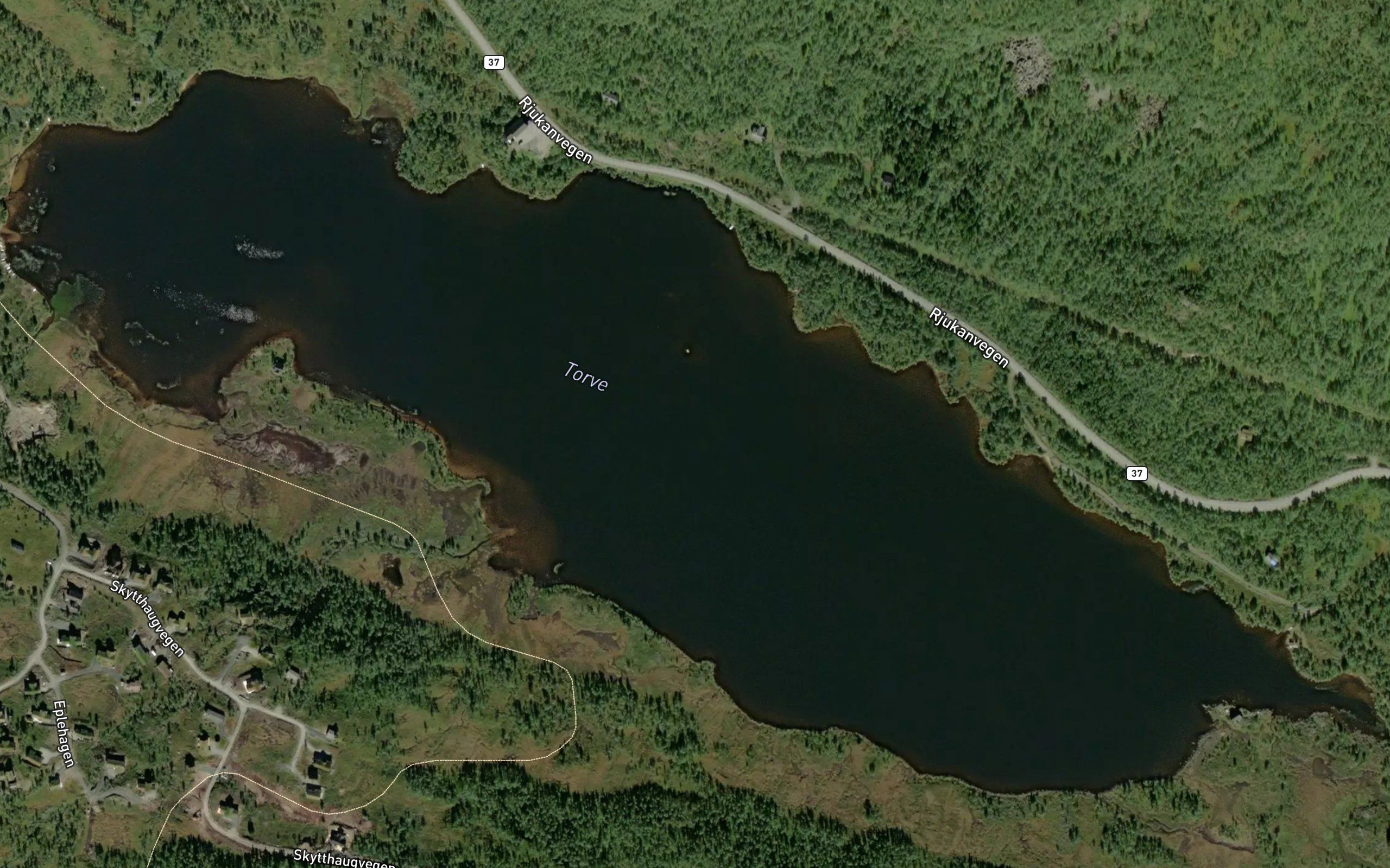 Torvetjorn