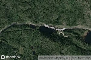 Nedre Haugtjenn