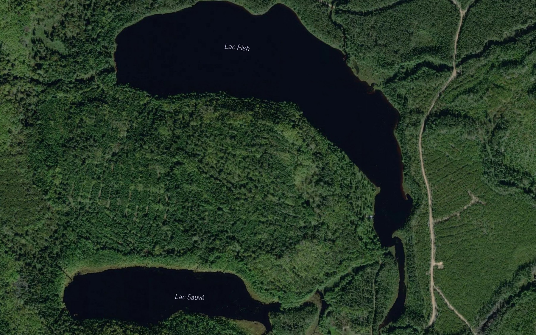 Satellite map of the Lac Fish