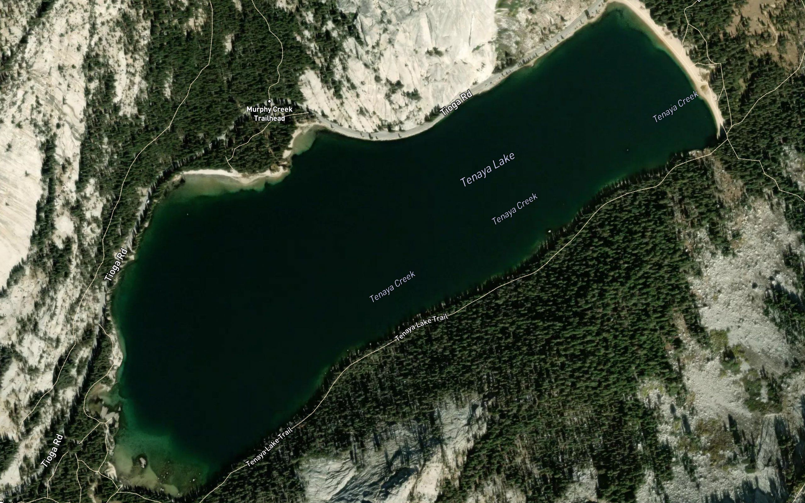 Tenaya Lake