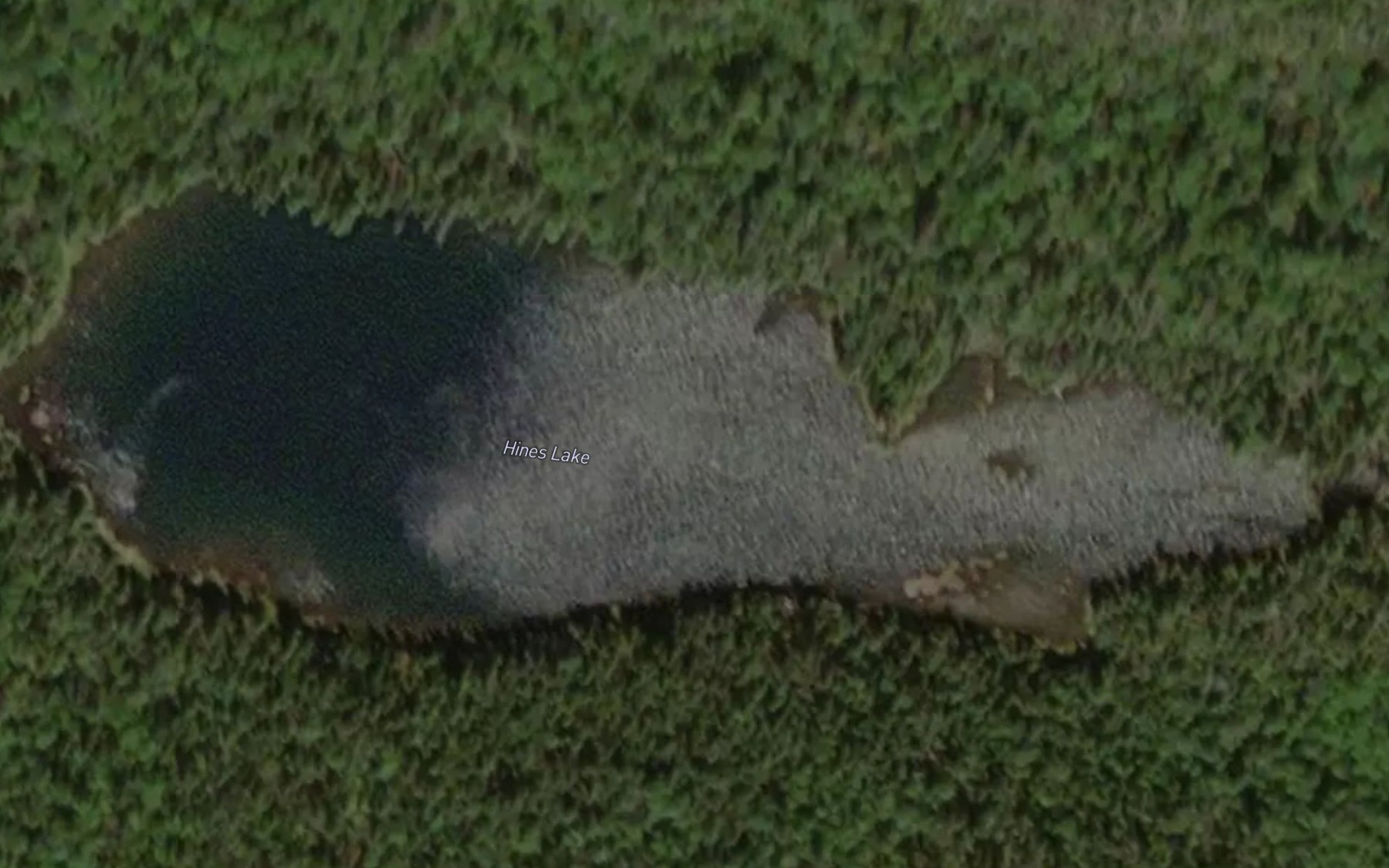 Satellite map of the Hines Lake