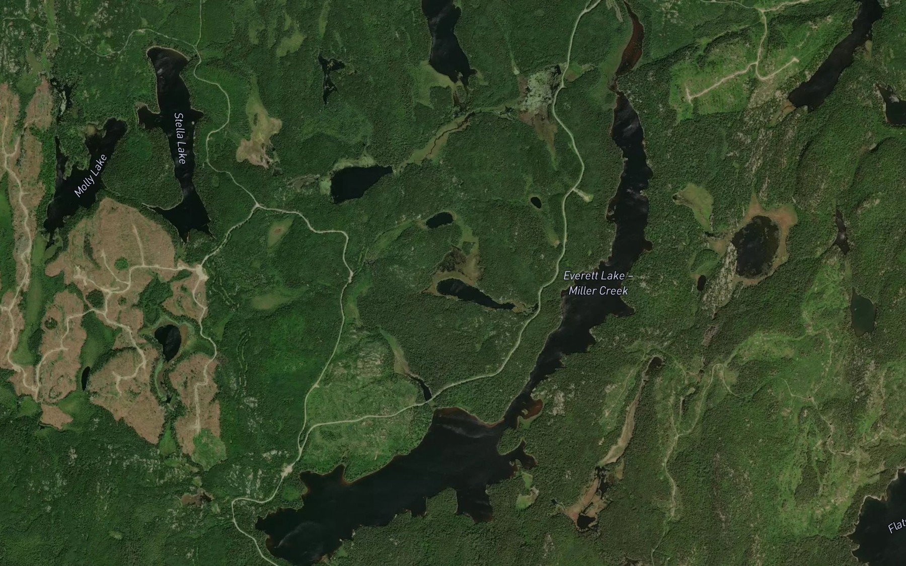 Satellite map of the Everett Lake