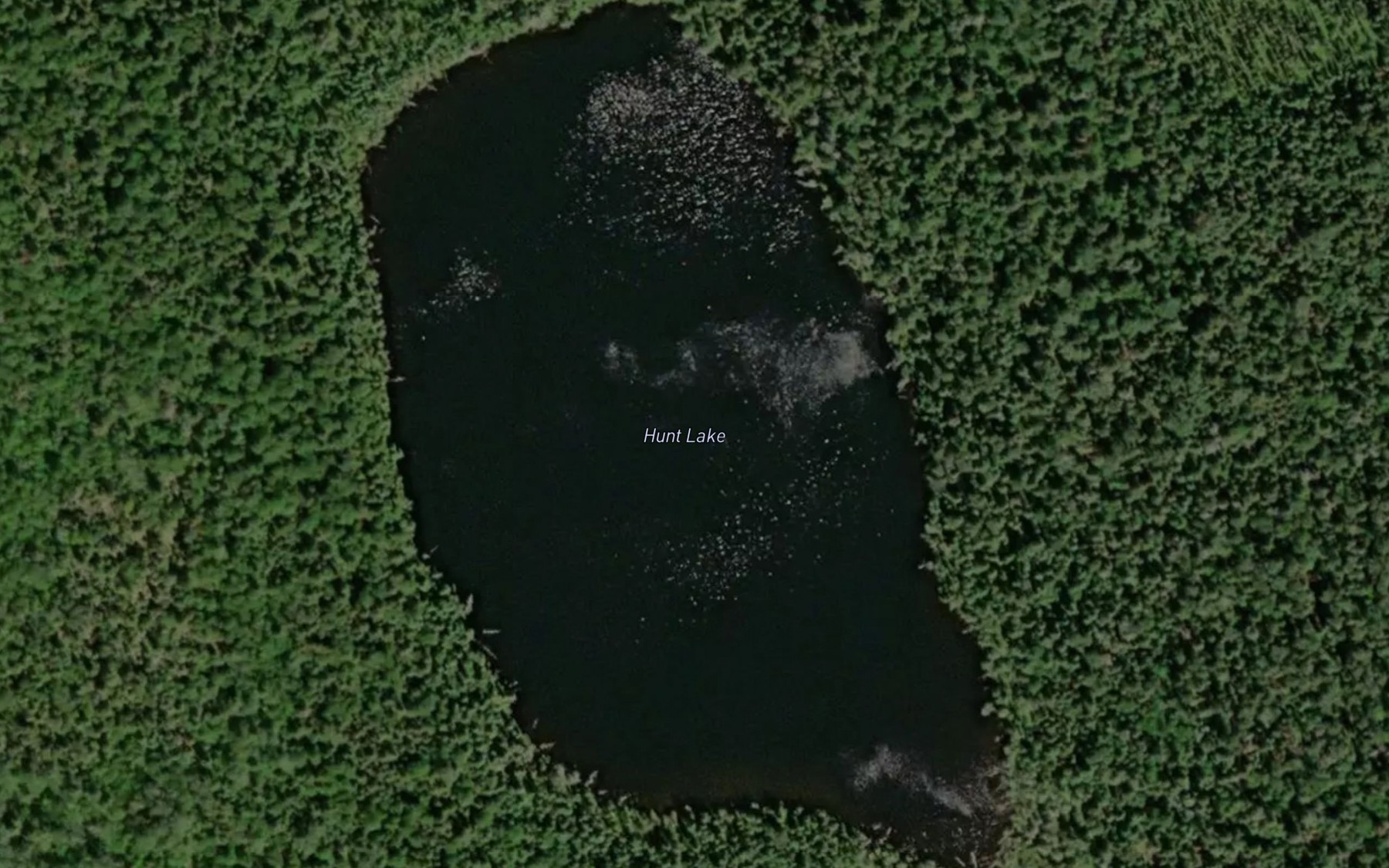 Satellite map of the Hunt Lake