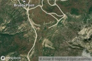 Brushy Point Spring