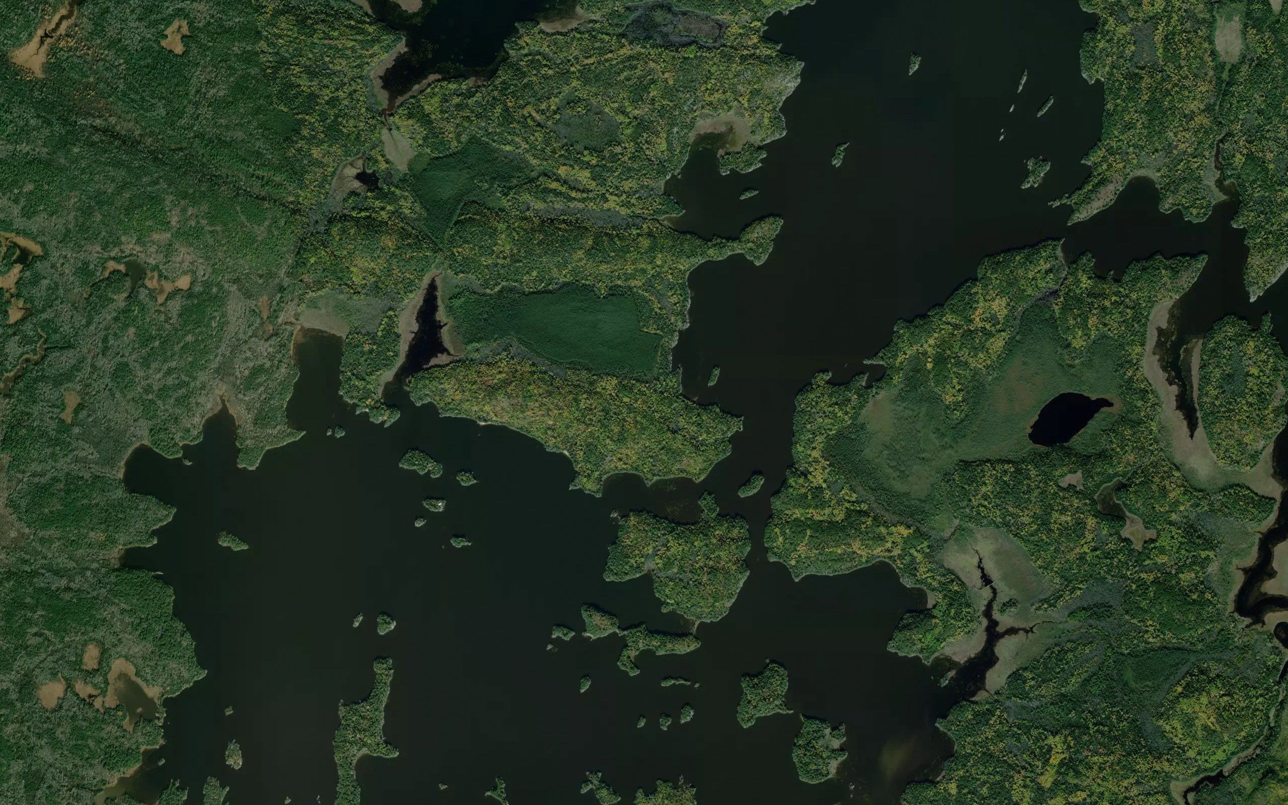 Grassy Narrows
