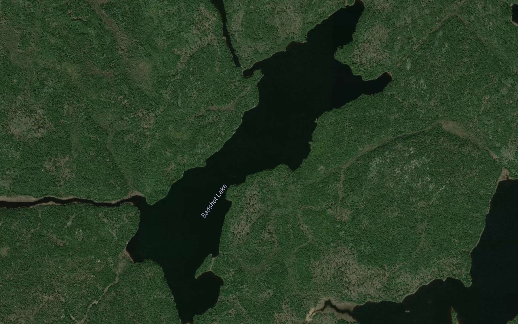 Satellite map of the Badshot Lake