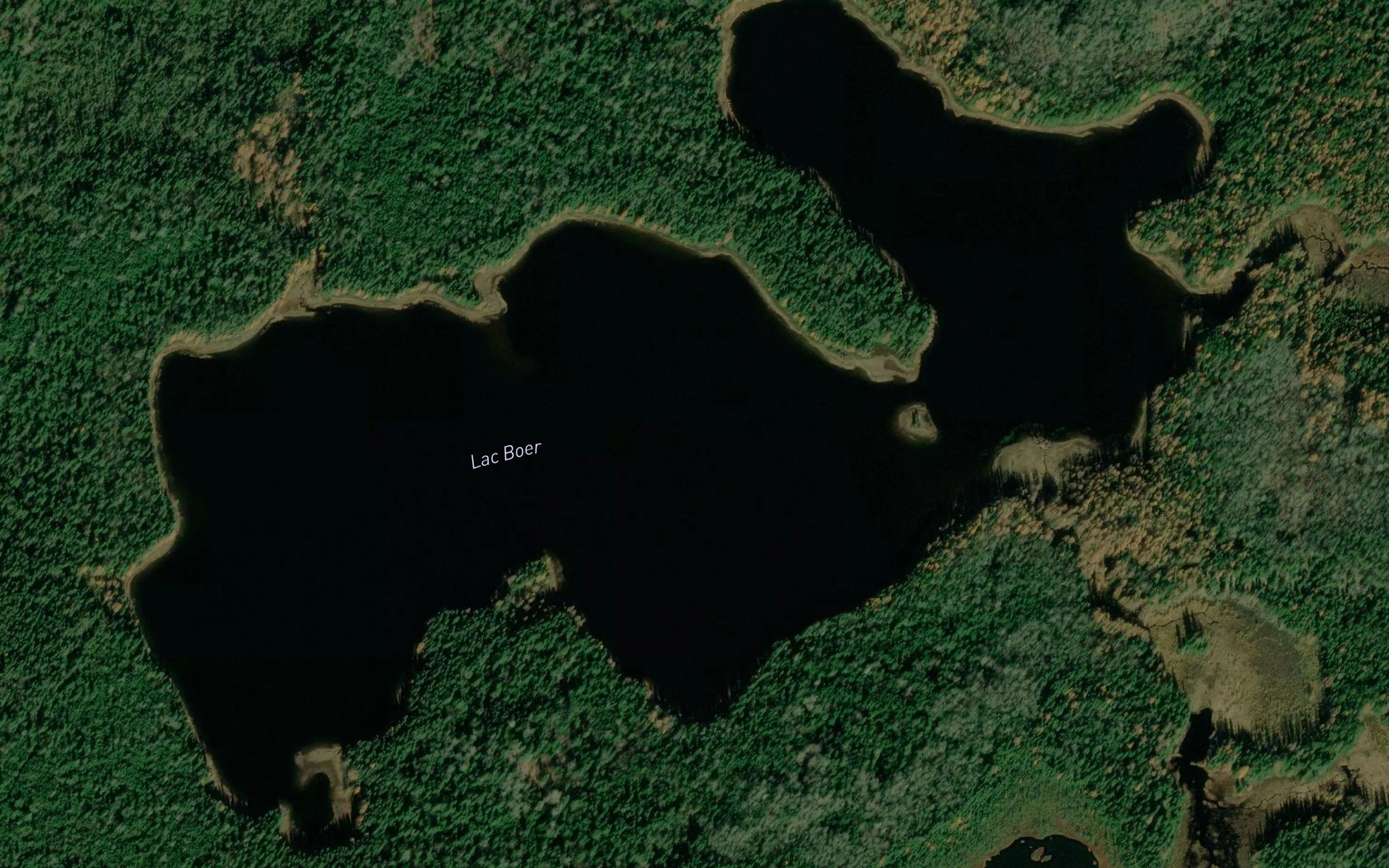 Lac Boer