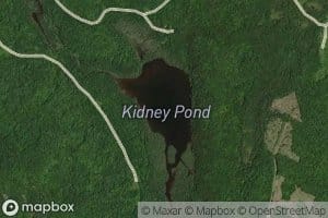 Kidney Pond