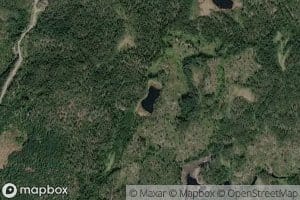 Nevertjernet