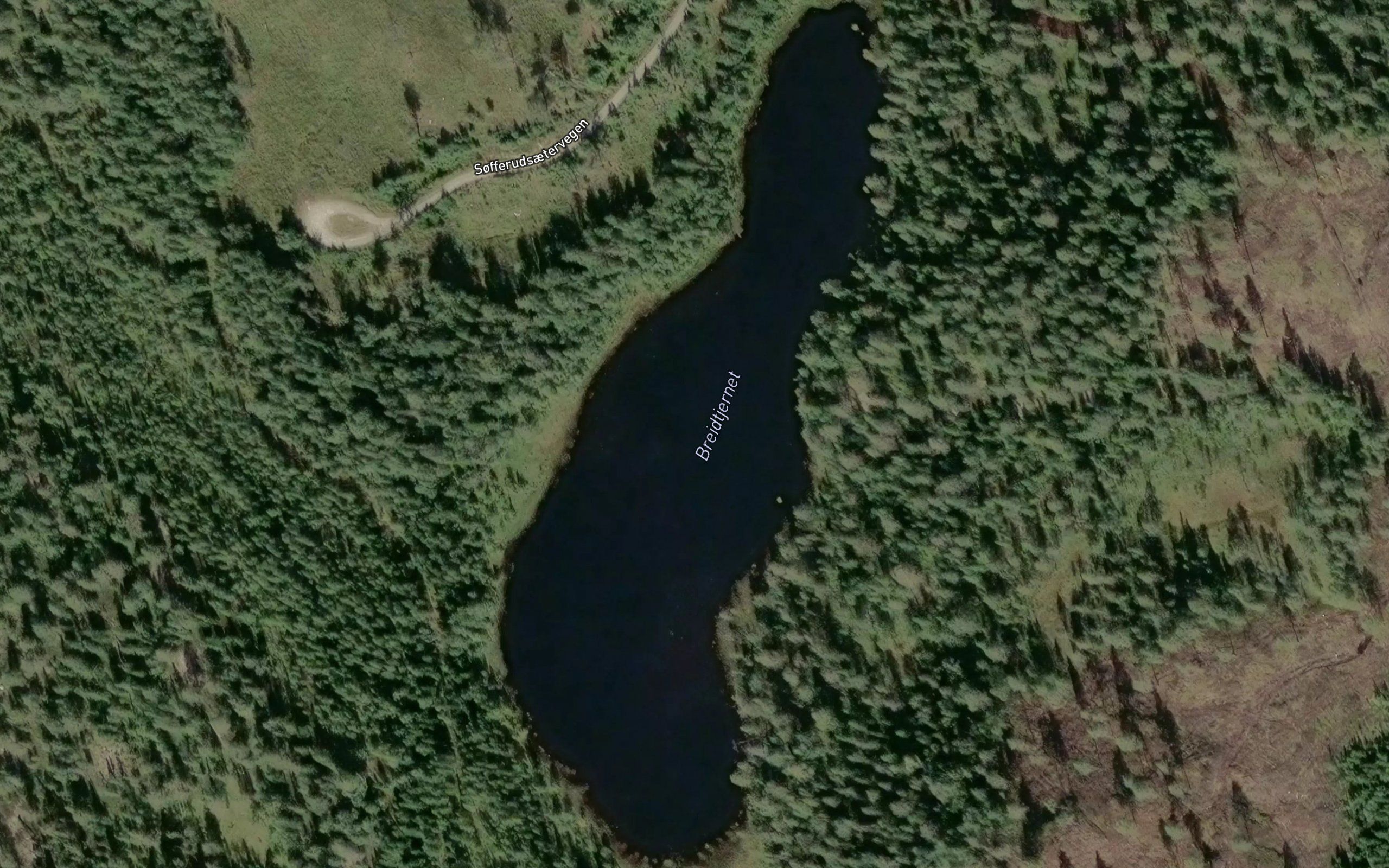 Breidtjernet