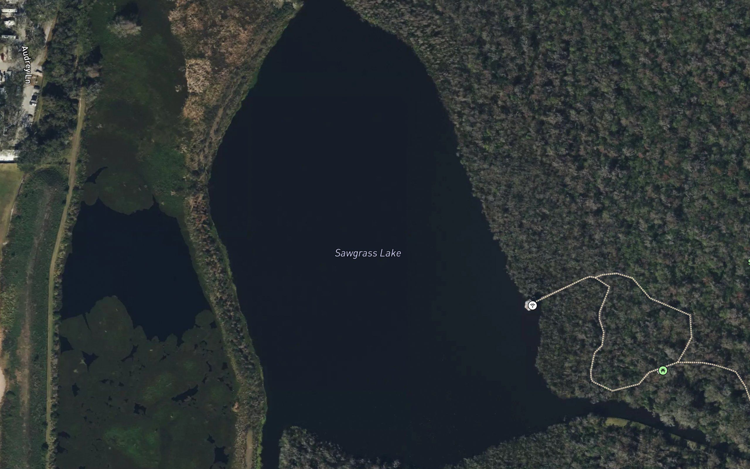 Sawgrass Lake
