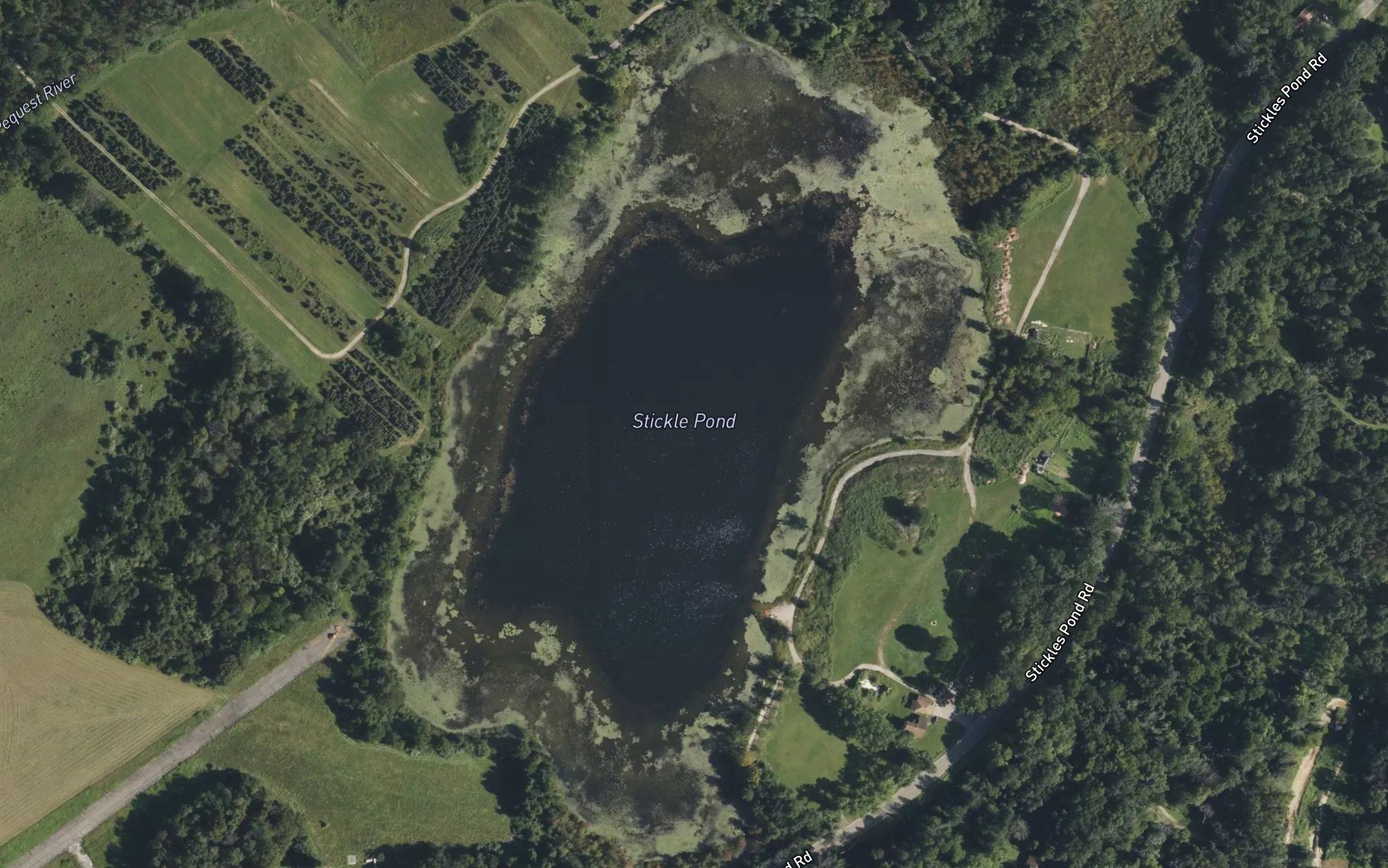 Stickle Pond