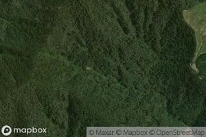 Little Mountain Camp Creek