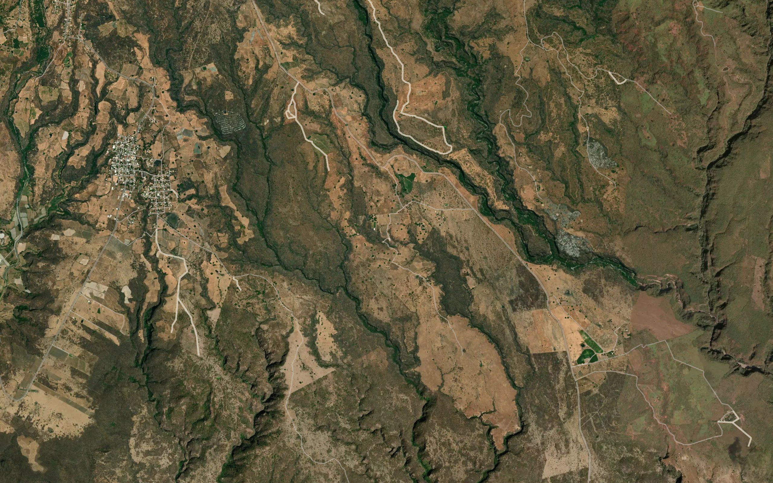 Barranca El Pino