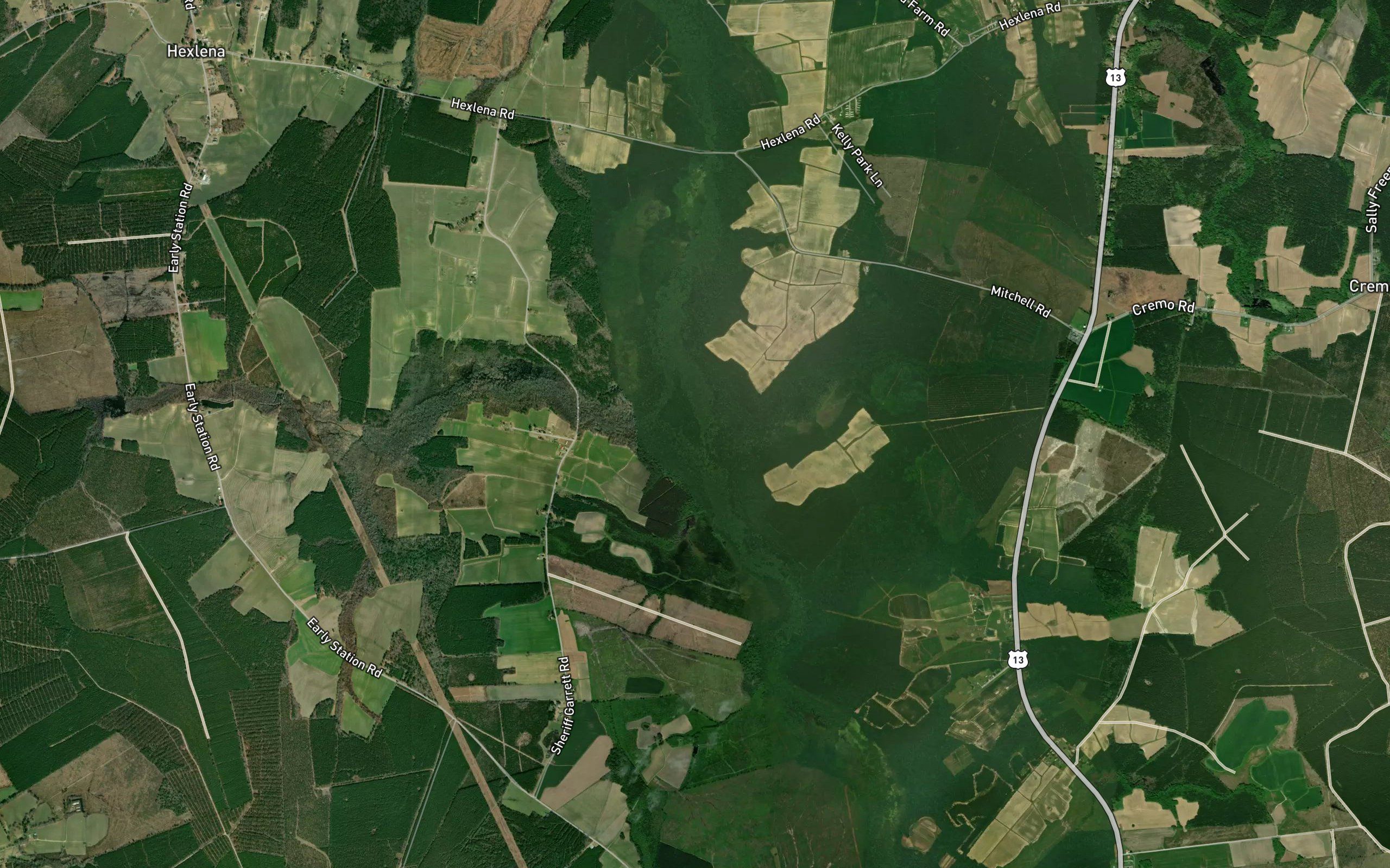 Wildcat Swamp