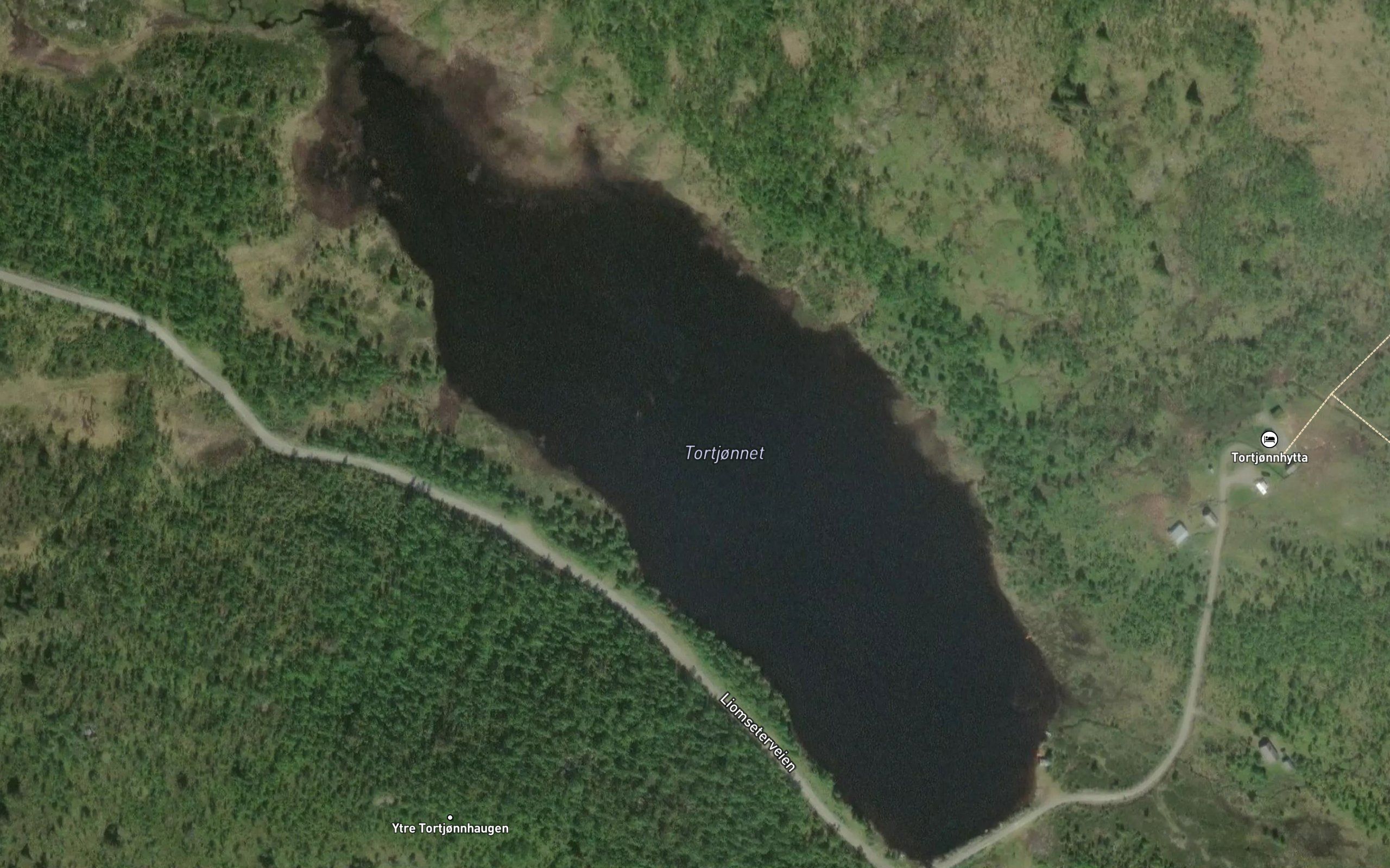 Tortjernet