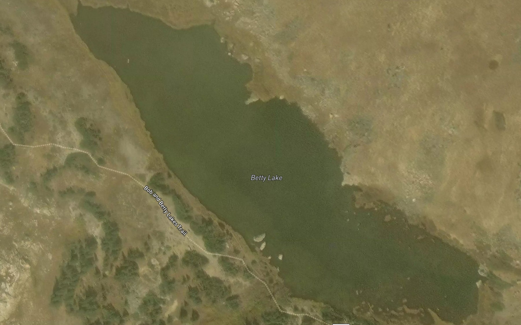 Satellite map of the Betty Lake