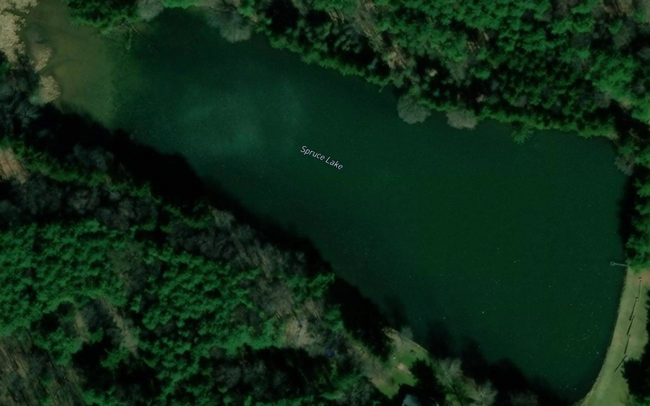 Spruce Lake