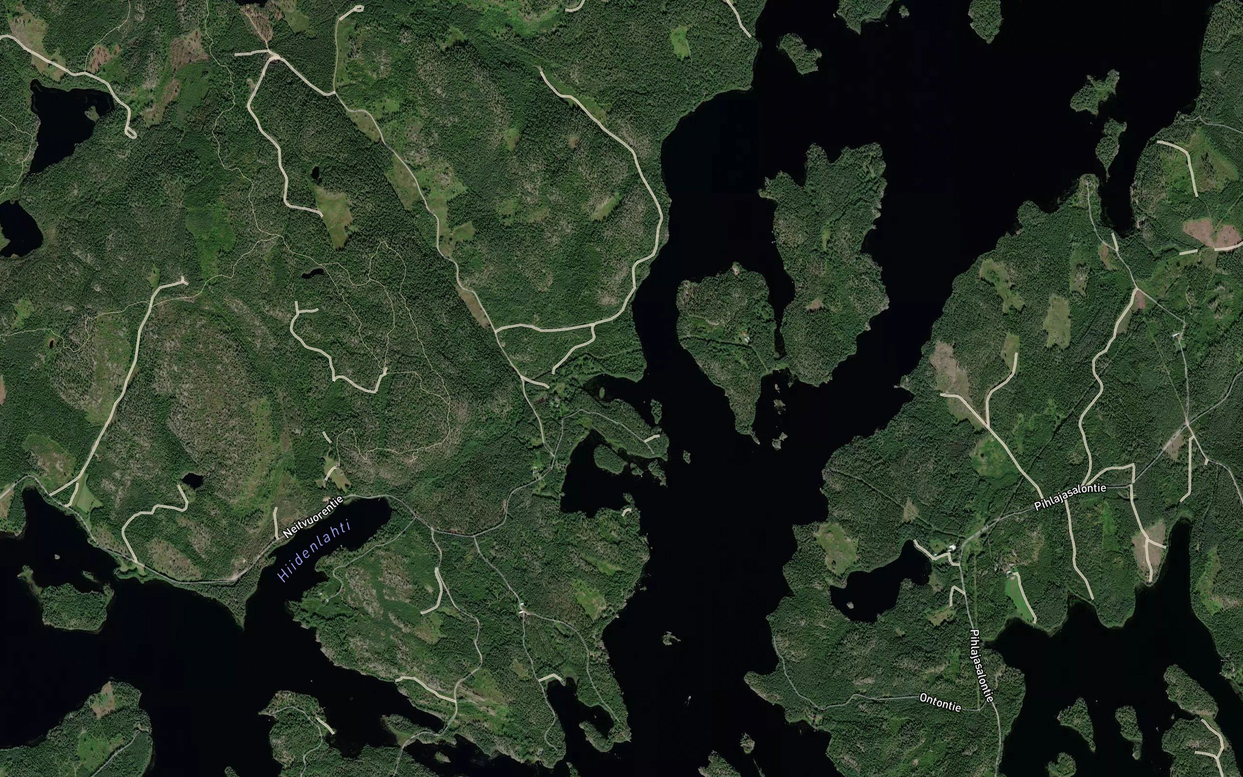 Koivusenlahti