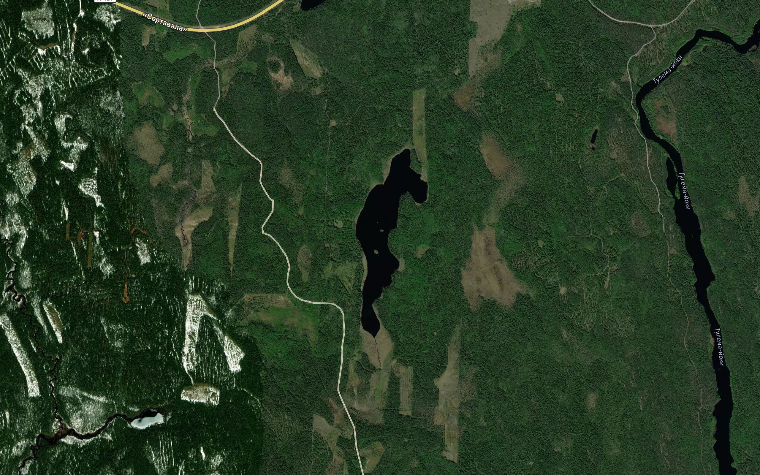 Koivusenjaervi