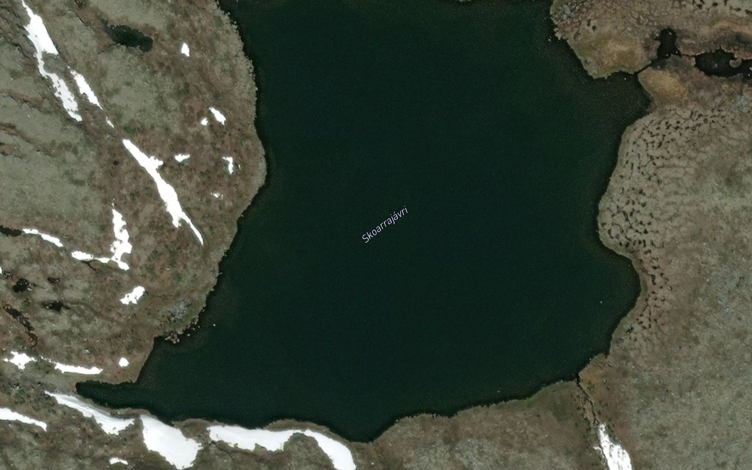 Skoarrajavri