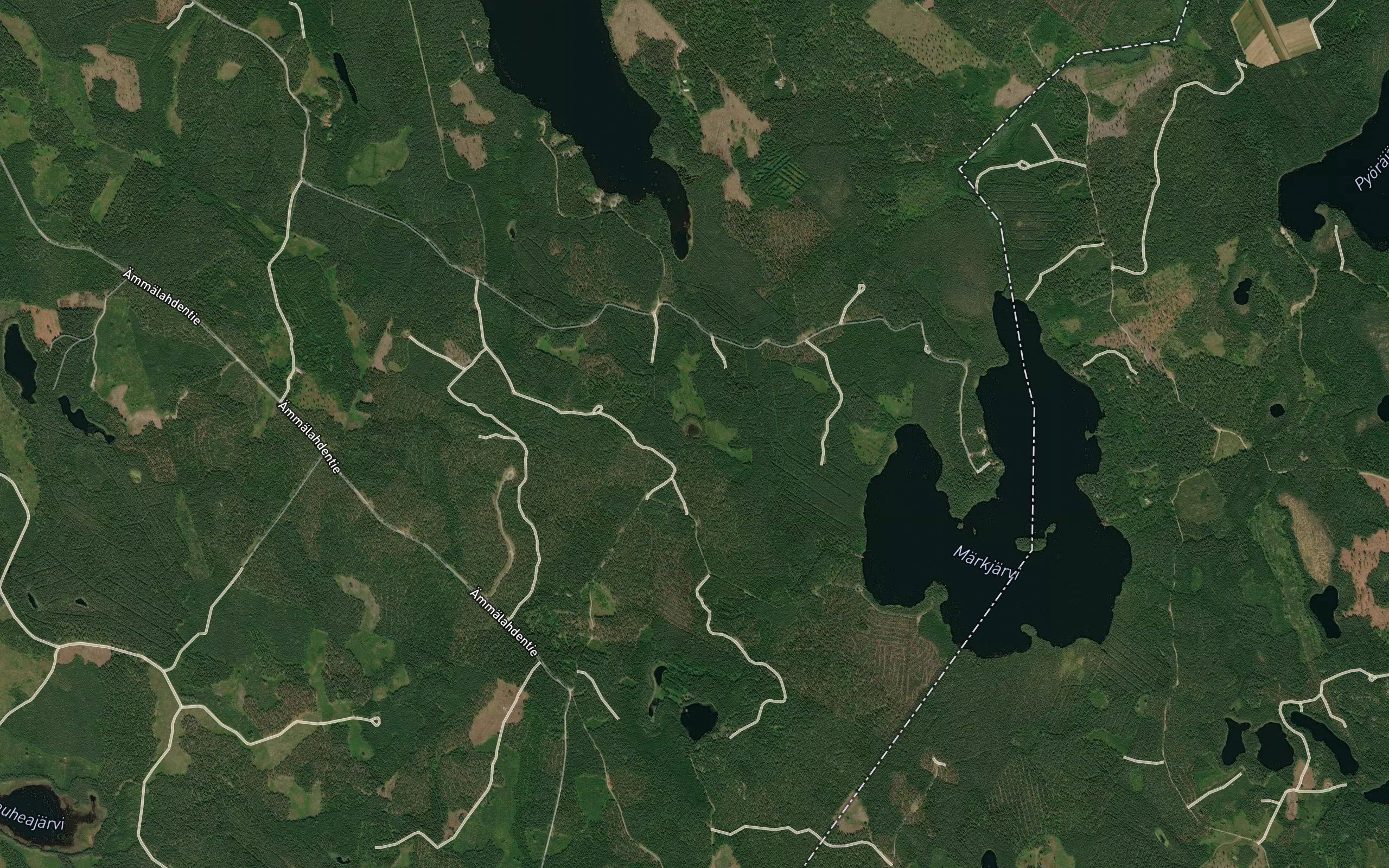 Kaunislampi