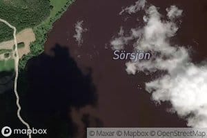 Sorsjon