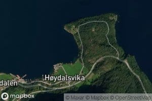 Vikebugen