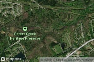 Mineral Spring Branch