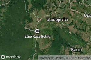 Saracevac