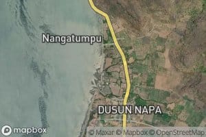 Nanga Kepo