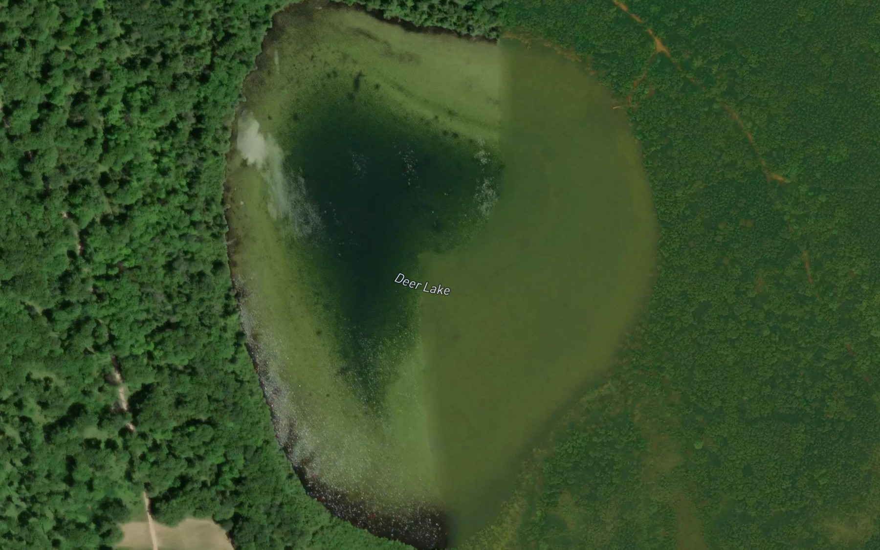 Satellite map of the Deer Lake