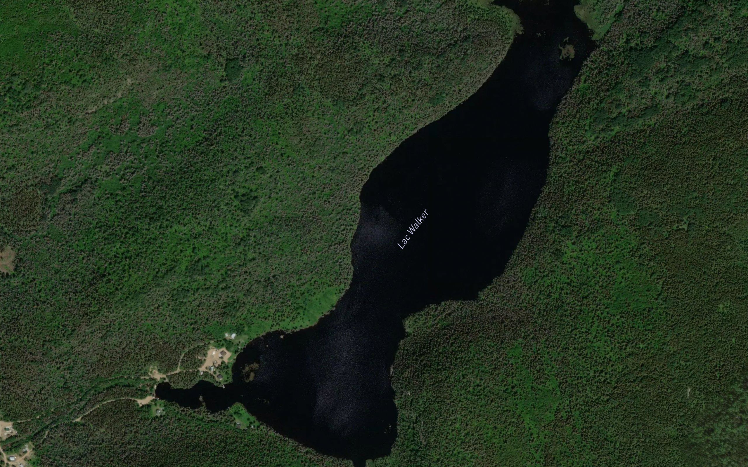 Lac Walker