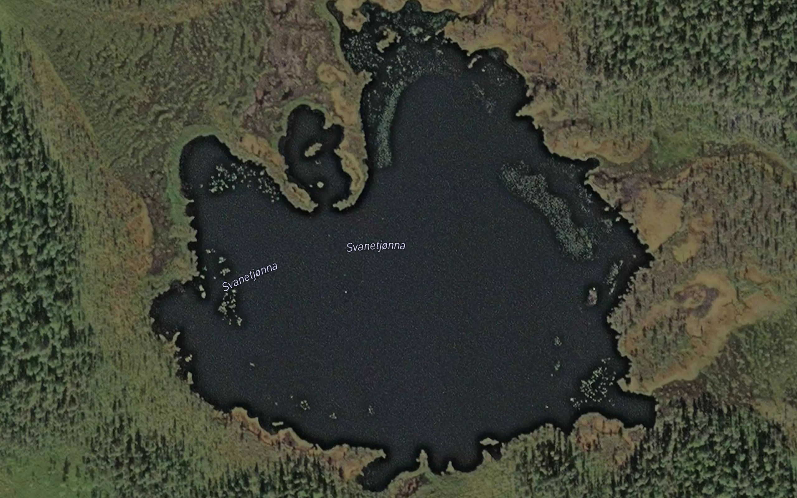 Svanetjonna