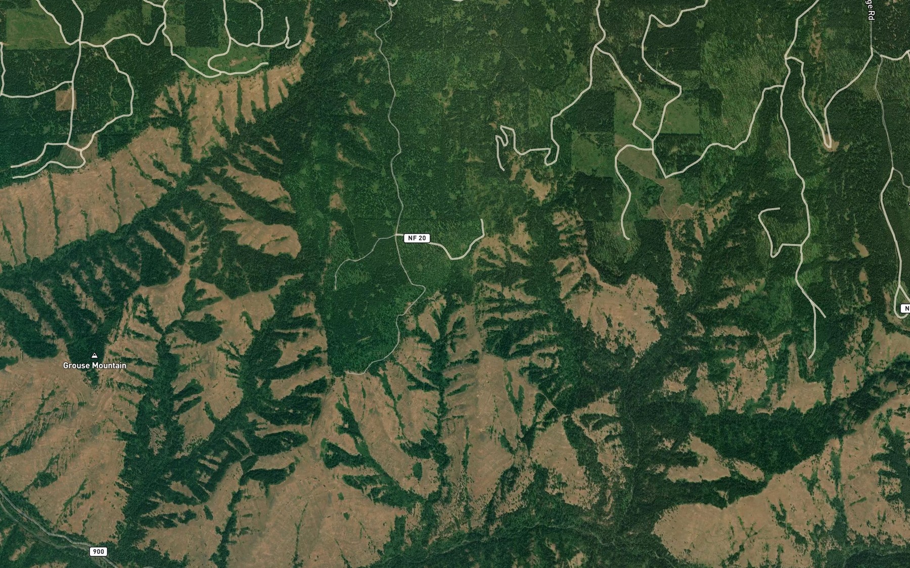 Satellite map of the Dick Spring