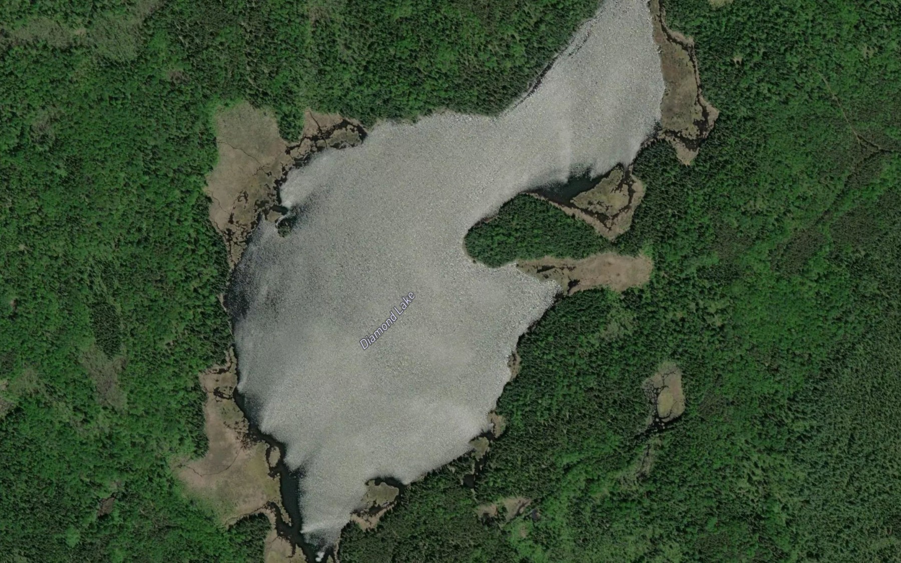 Satellite map of the Diamond Lake