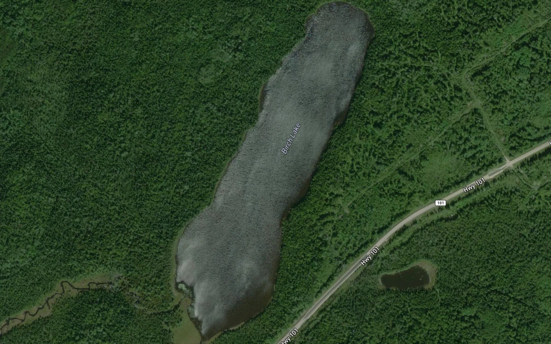 Satellite map of the Birch Lake
