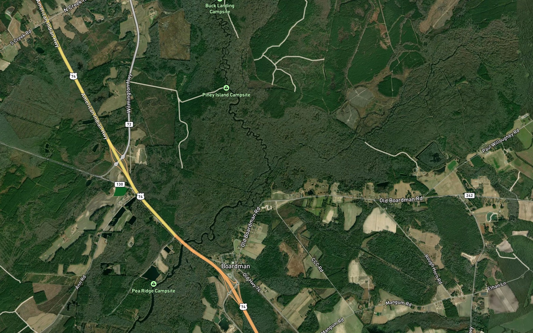 Satellite map of the Big Swamp