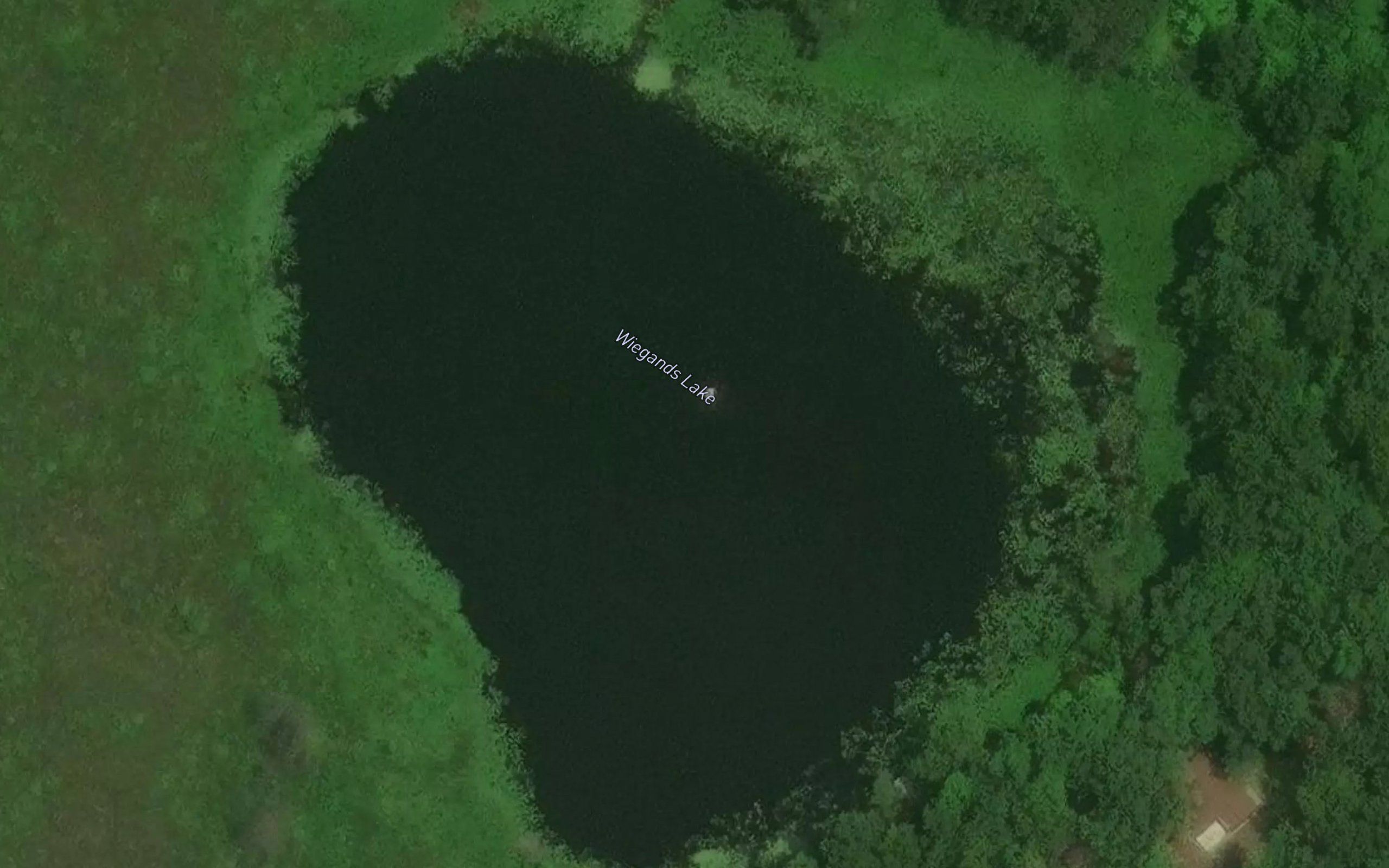 Wiegands Lake