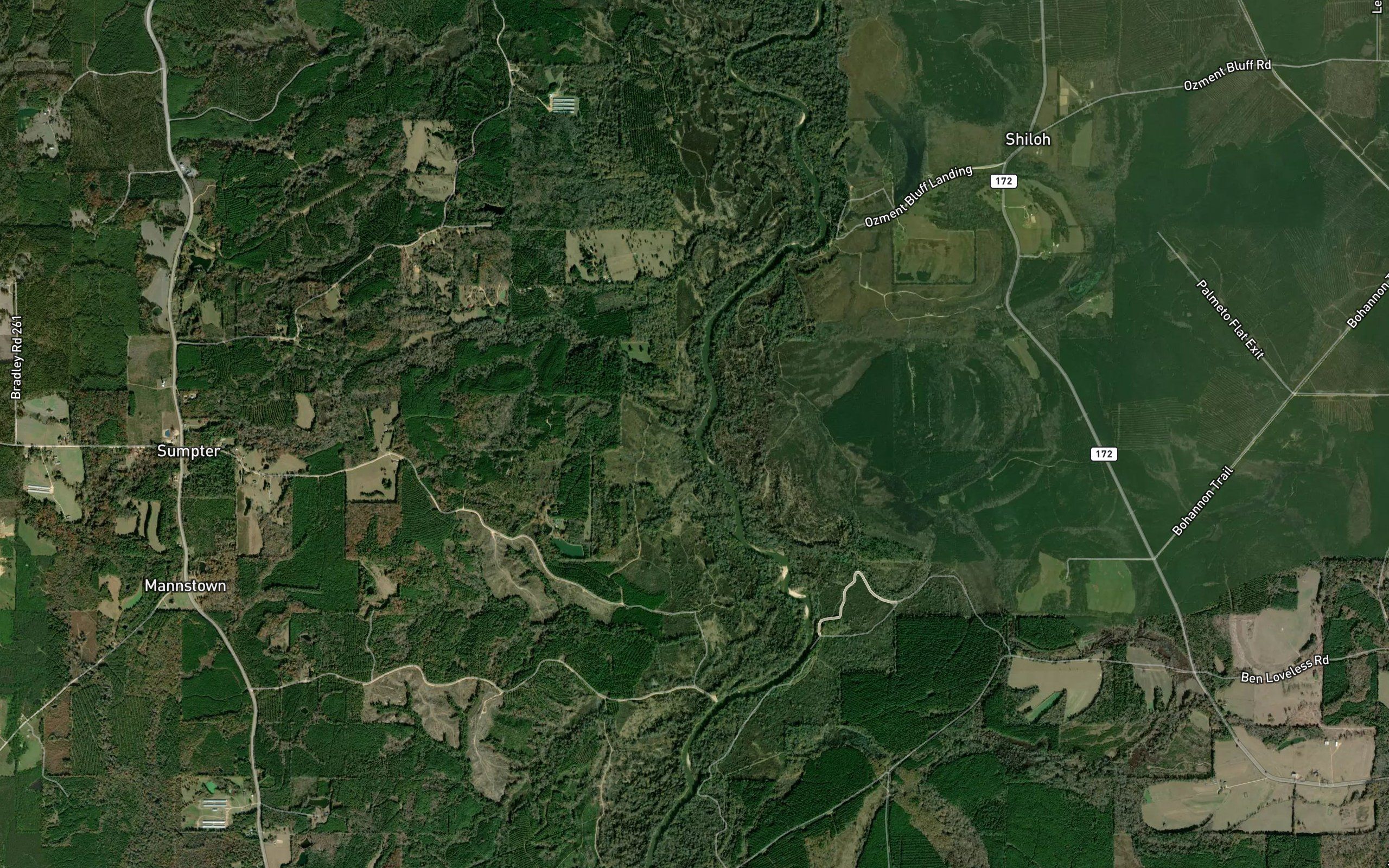 Bradley Creek