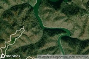 Pounding Tree Branch