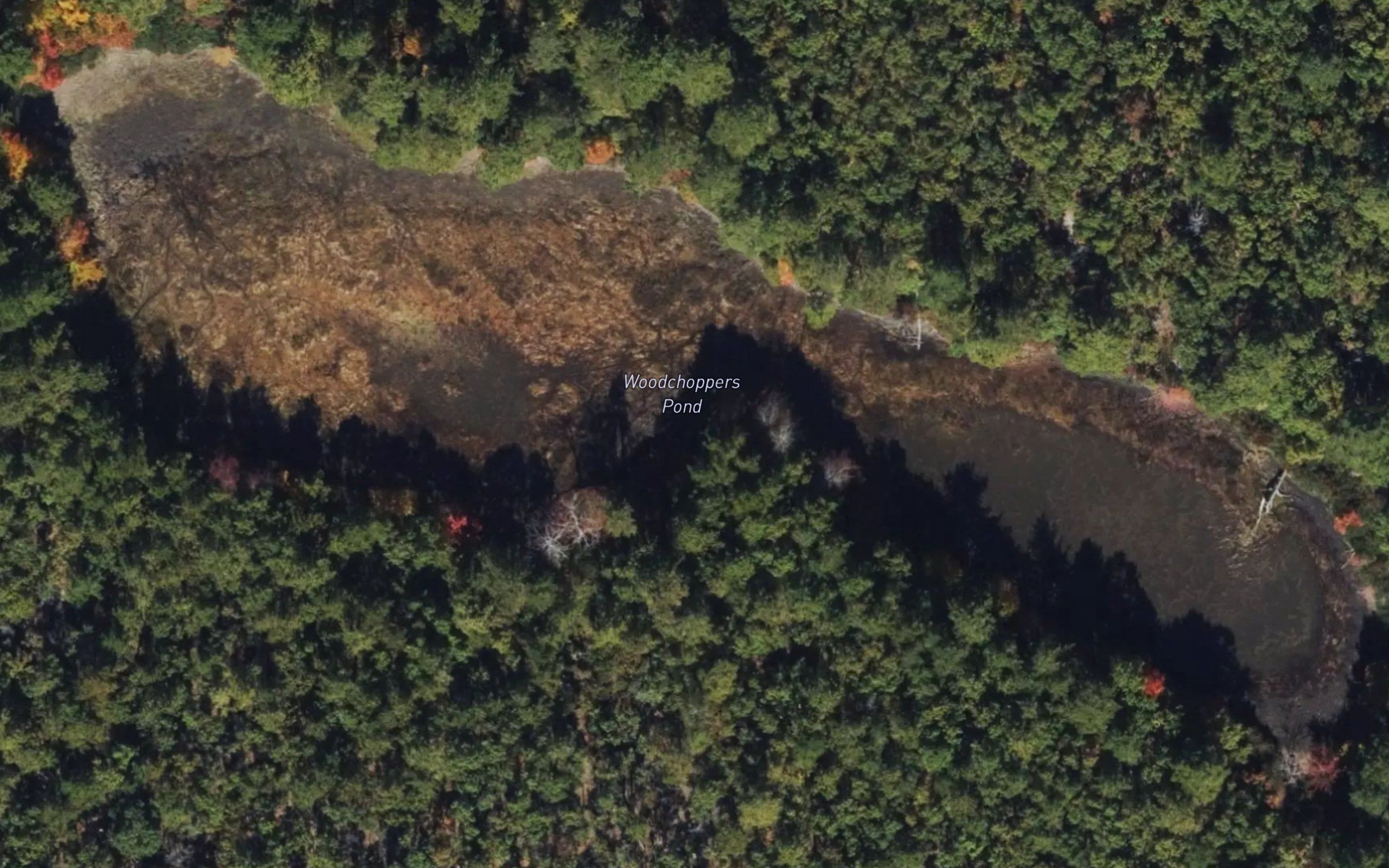Woodchoppers Pond