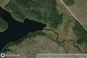 Rikinjoki