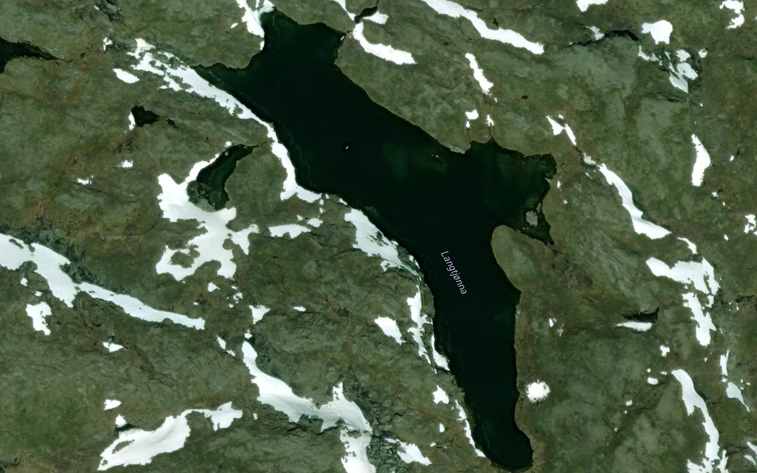 Langtjorna