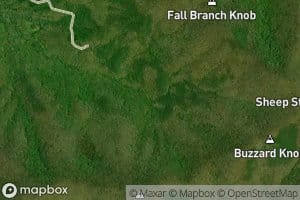 Cave Branch