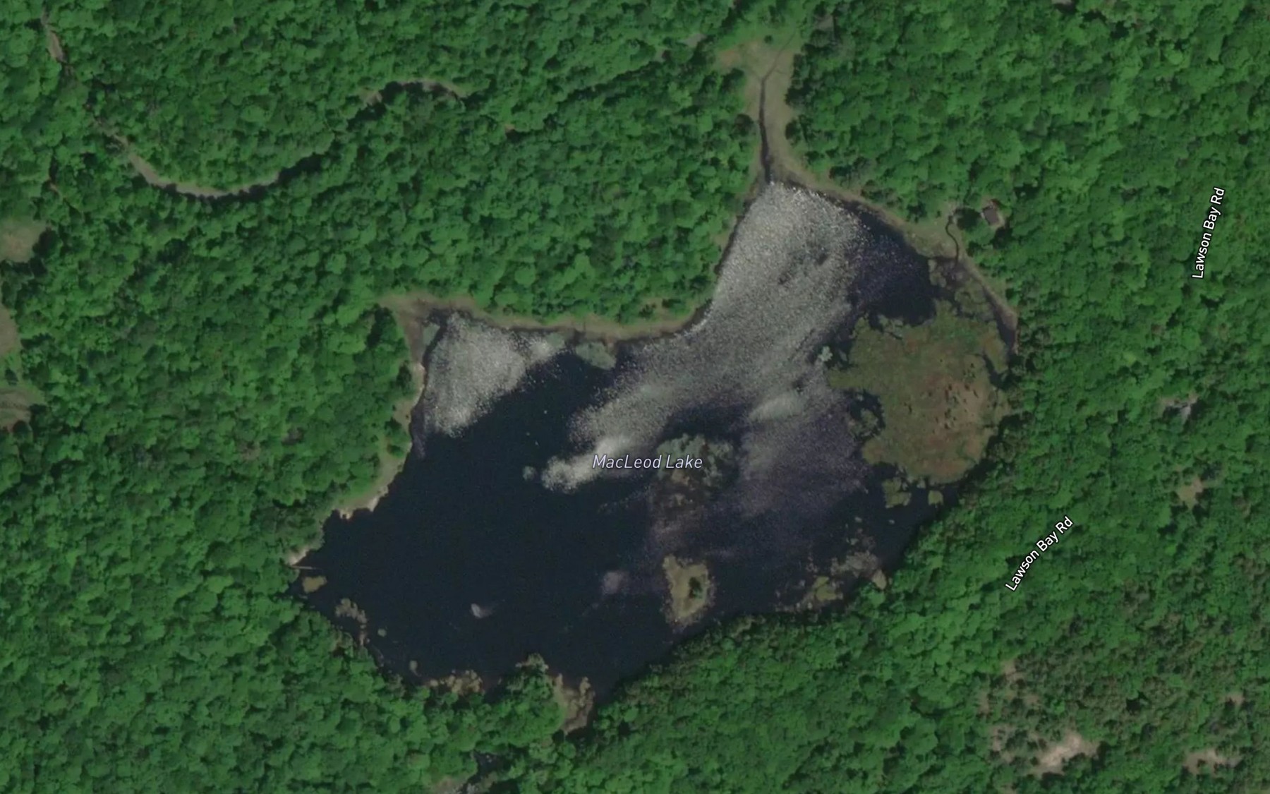 Satellite map of the MacLeod Lake
