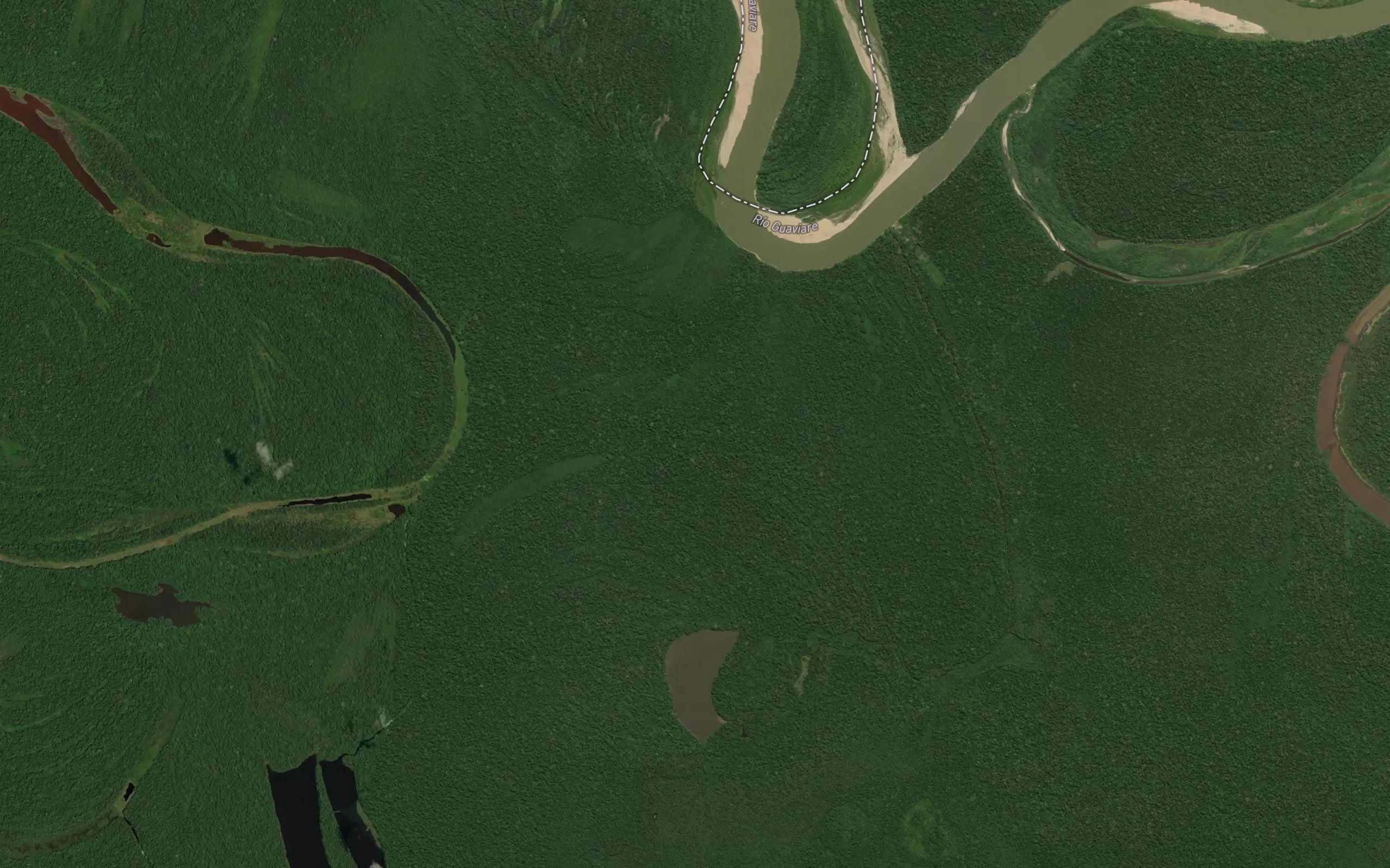 Laguna Caiman