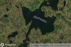 Homvatn