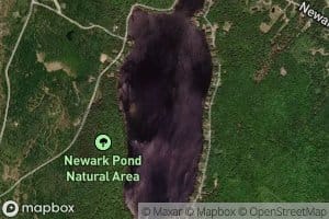 Newark Pond